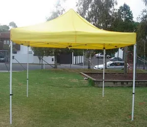Gazebo / Canopy (2m x 2m)