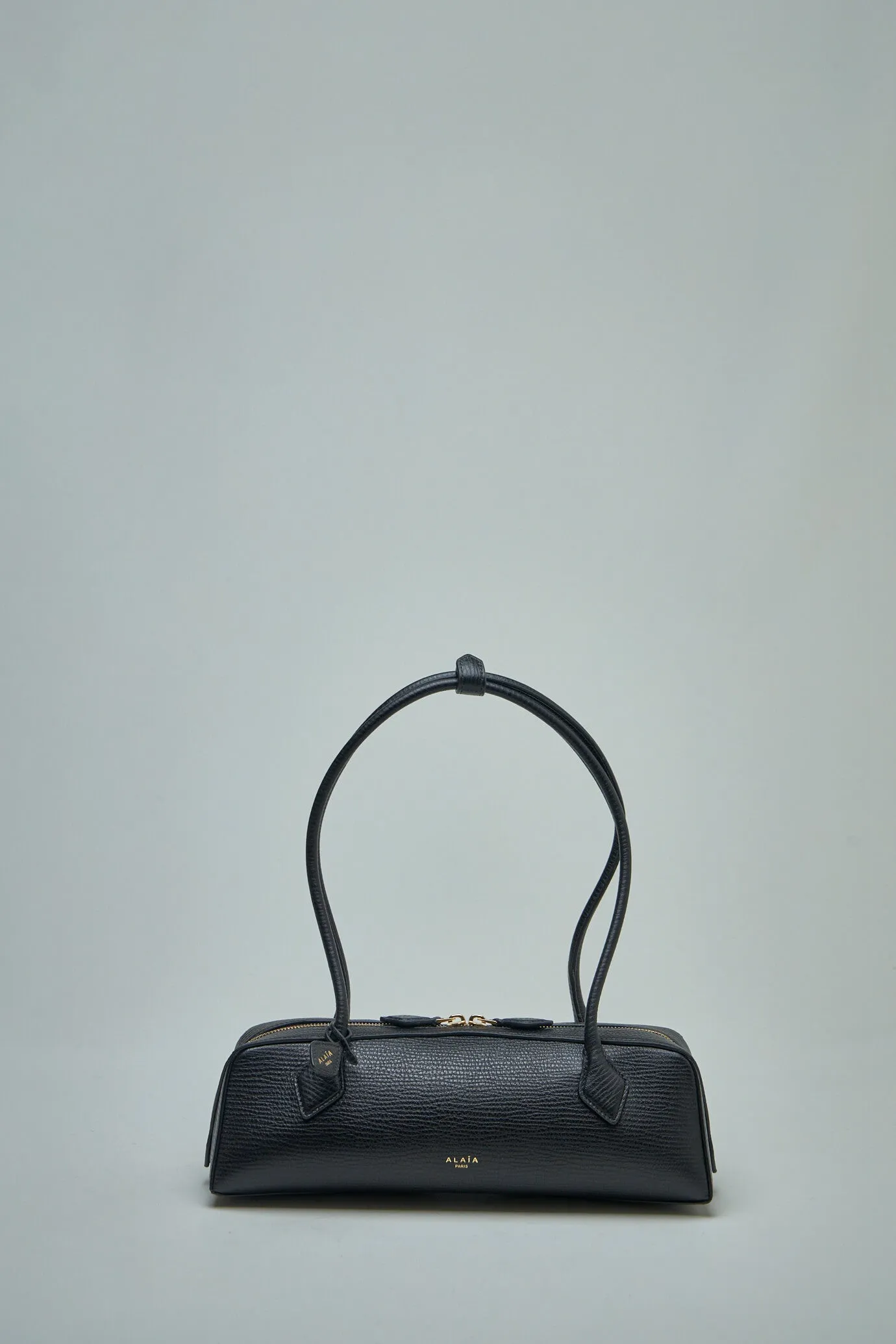 Le Teckel Medium Grained Calf Bag